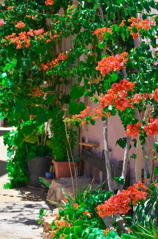 Home Suites Hersonissos  Dış mekan fotoğraf